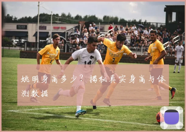姚明身高多少？揭秘真实身高与体测数据
